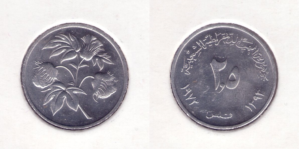 Bring-Out-Your-KM#3-Or-Y#3-Coins-For-Show-&-Tell
