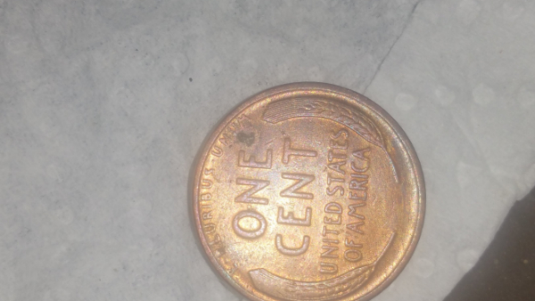 1919-D-Lincoln-Small-Cent-For-Grading