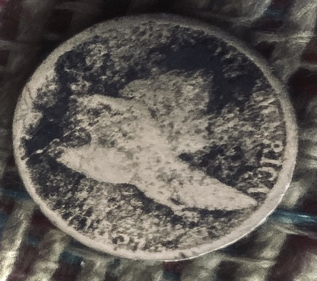 Flying-Eagle-Cent.-Transitional-Error?-1859-Is-This-The-Only-One?