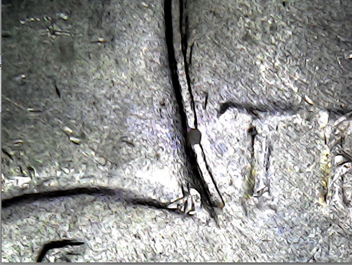 1922-P-Peace-Dollar---DD-On-Back-Neck-Or-MD?