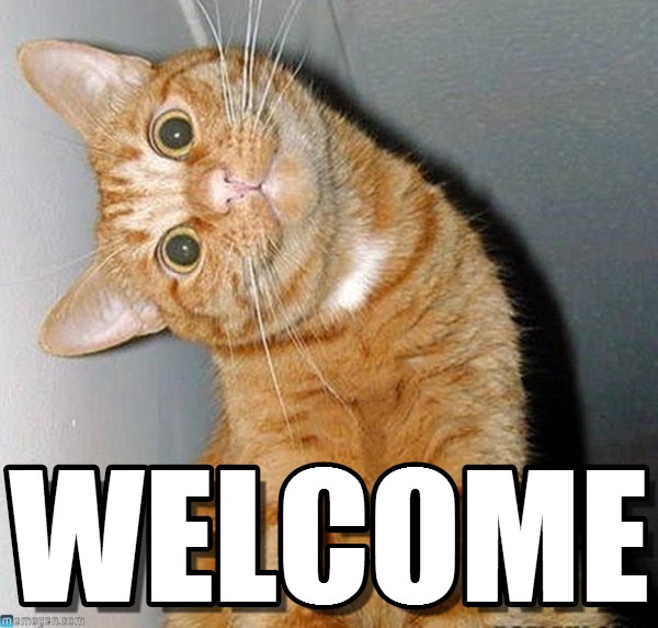 1943-P-Uncirculated-Wheat-Pennies~-Are-These-Markings-Errors