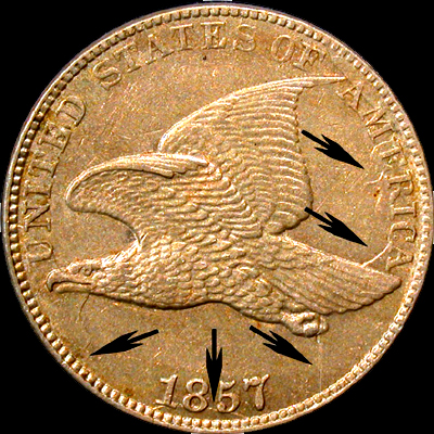 1857-Flying-Eagle-Cent-Clashed-With-50-Cent