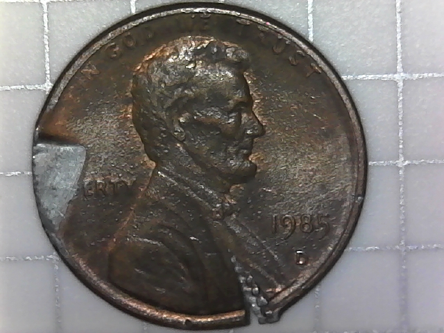 I-Need-Your-Opinion-In-This-Coin-Please