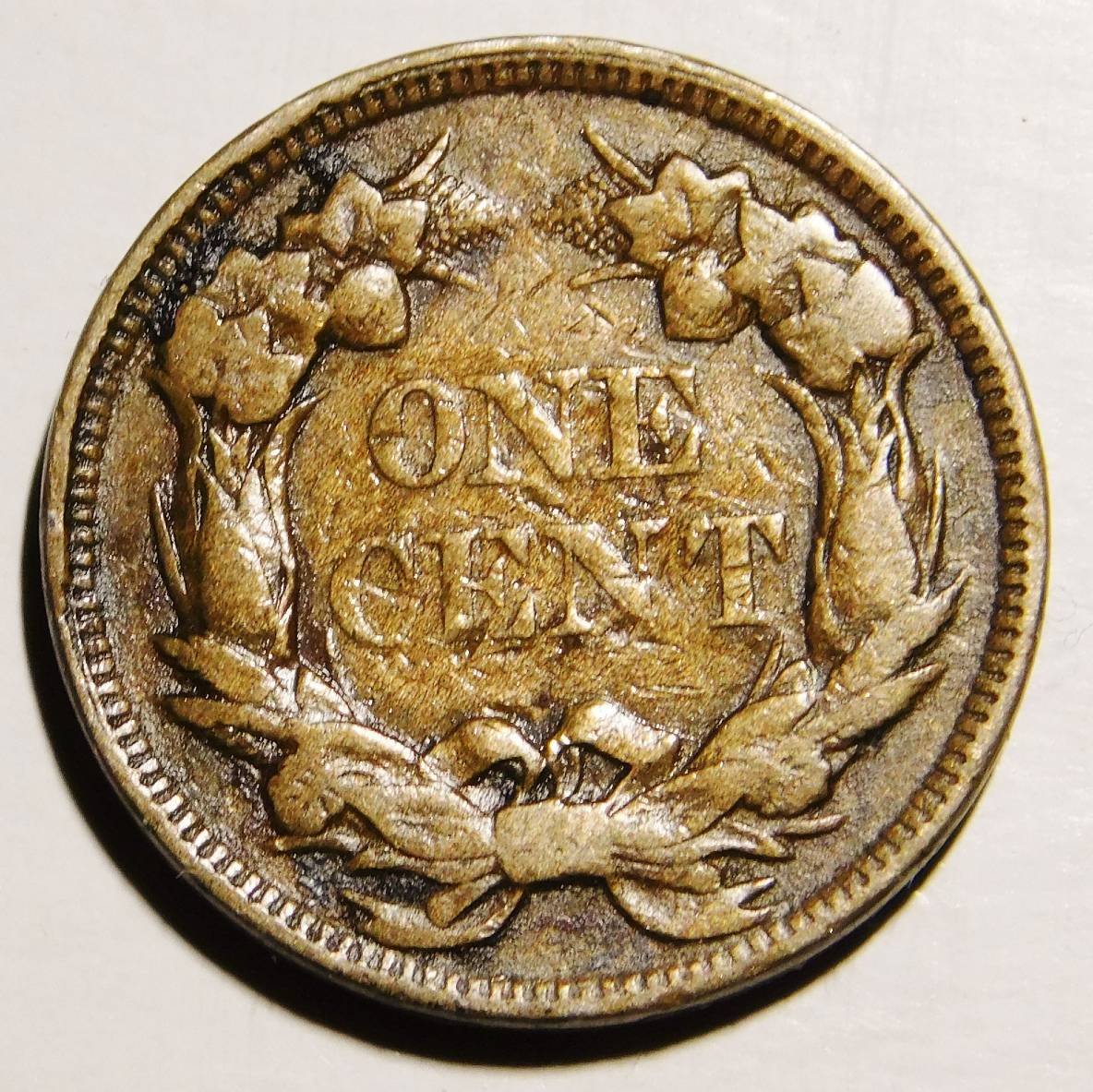 Post-Your-Coins-Representing-The-Animal-Kingdom.