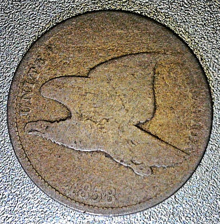 All-Members,-Post-Your-Most-Recent-US-Coin-Purchases!