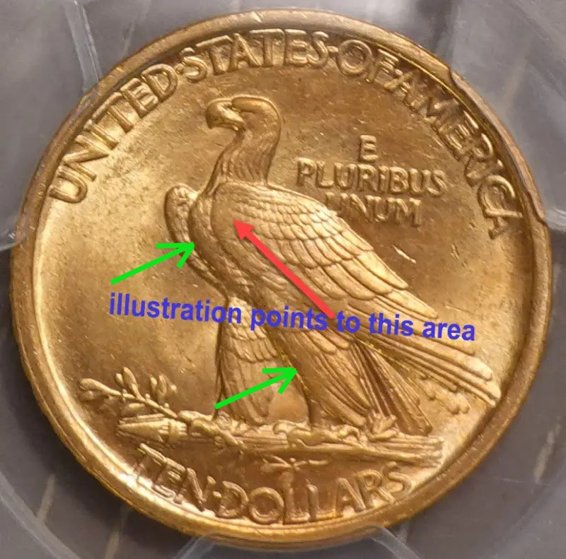 1907-Indian-Eagle-PCGS-Vs-You