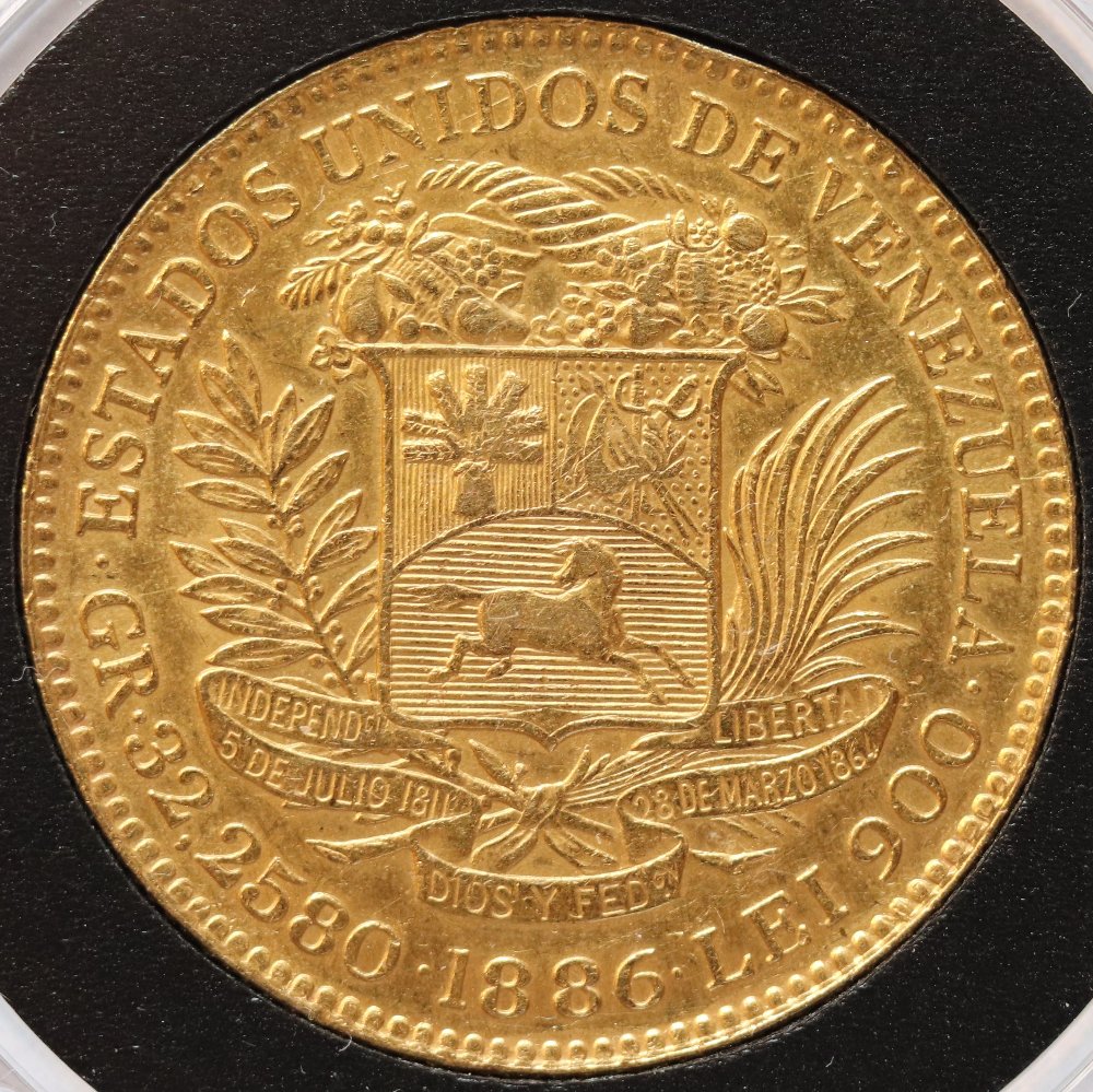 Show-Off-Your-Large-27+-G-Gold-Coins-From-Around-The-World