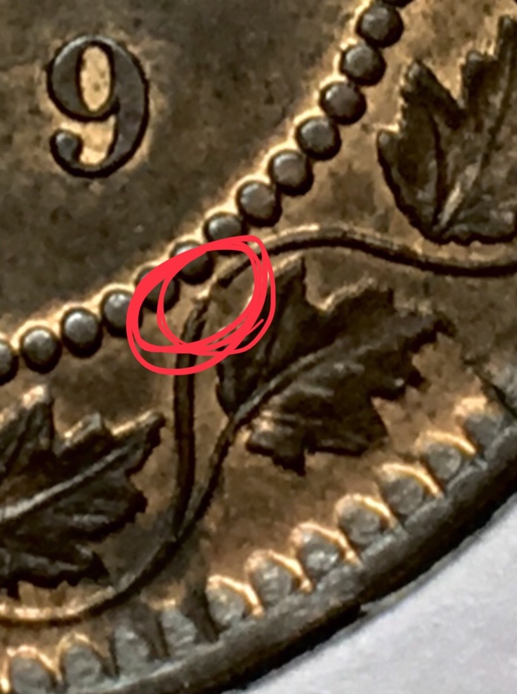 1859-Canadian-Cent,-A-Recent-Purchase-For-Your-Grade-Opinions