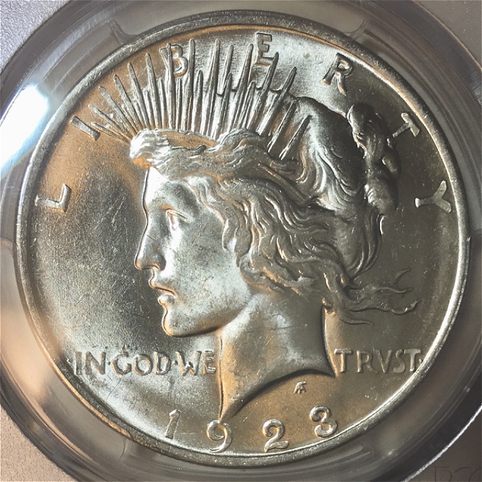 You-Vs-PCGS-On-A-1923-Peace-Dollar