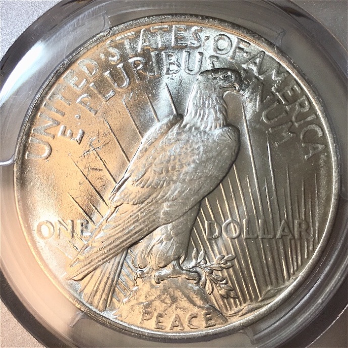 You-Vs-PCGS-On-A-1923-Peace-Dollar