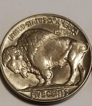 1913-Type-2-Buffalo-Nickel-Grade