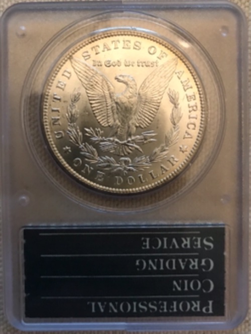 Vacation-Morgan-Dollar-Purchases