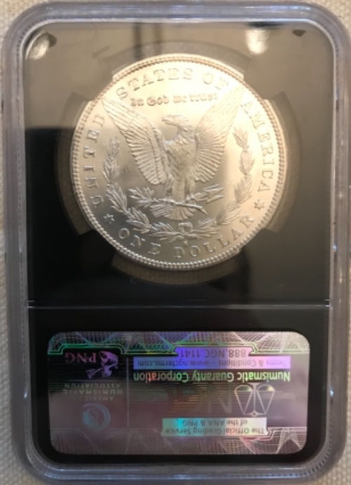 Vacation-Morgan-Dollar-Purchases