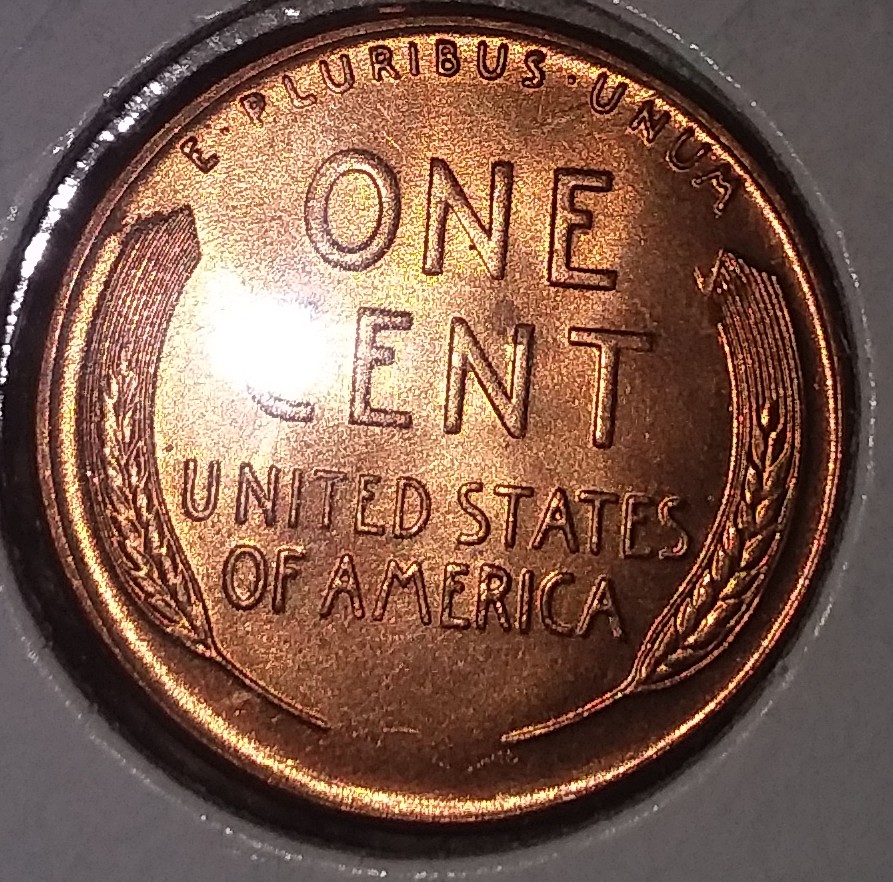 1955-S-Wheat-Penny-Worth-Grading?