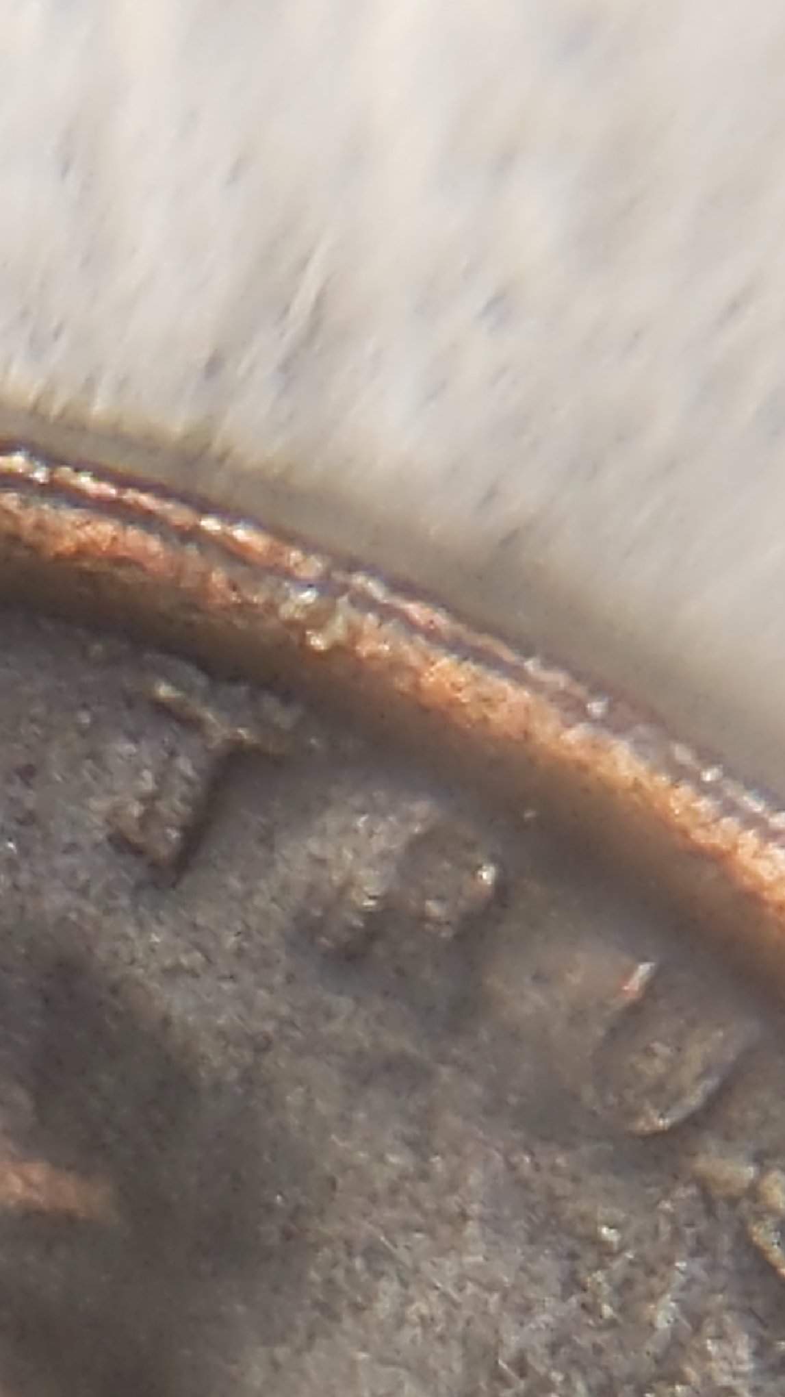 1972-DDO-Cent?--Any-Help-Always-Appreciated!
