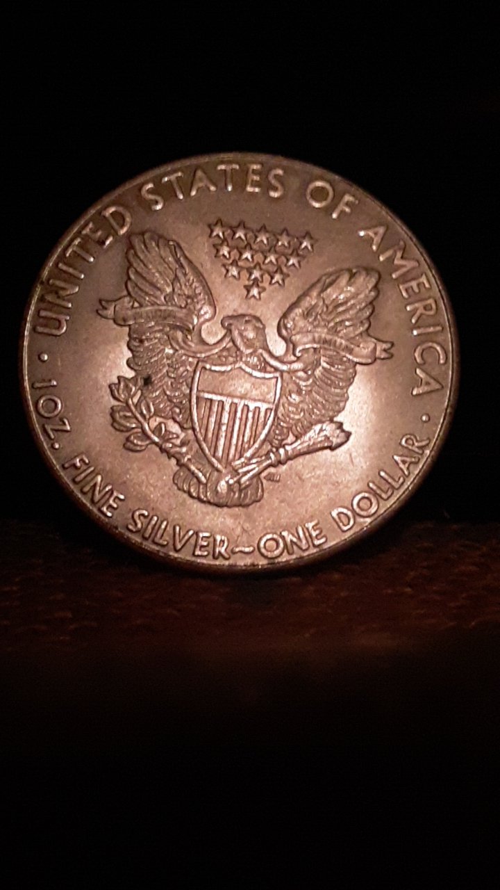 2019-Silver-Dollar,-Is-It-Authentic-Or-Fake?