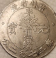 Chinese-Kirin-Province-'Flower-Pot'-Silver-Coin?-Id:-Likely-Fake-Of-1898-Kirin-Dollar