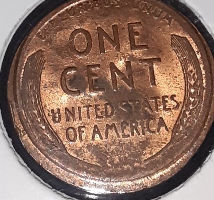 1956-D-Error-Which-Is-It?