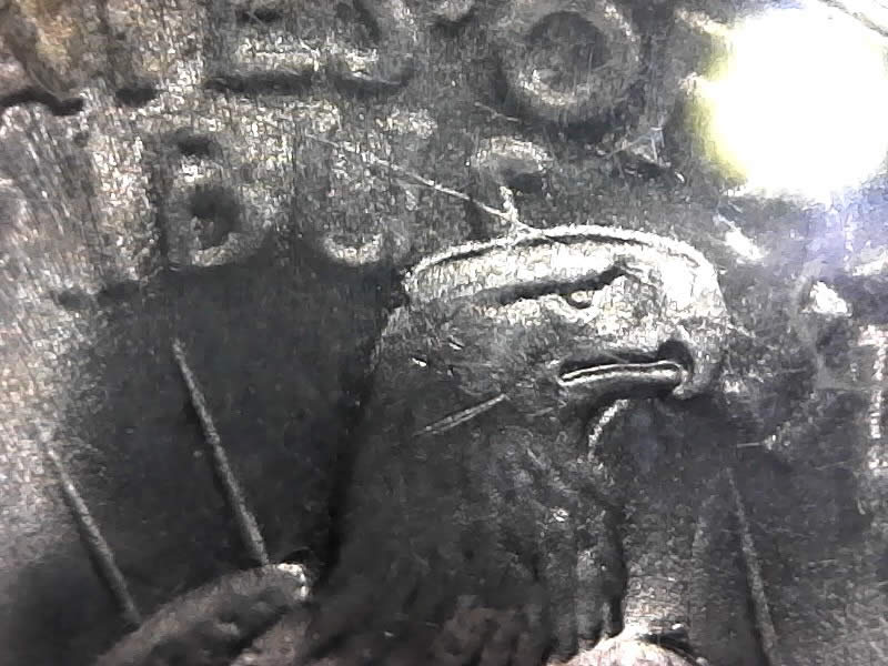 New-Collector-Would-Like-Some-Help-With-Peace-Dollar.