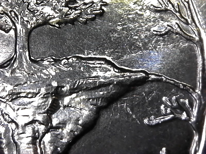 Is-This-Caused-By-Grease-Or-Worn-Dies?-Michigan-ATB-Quarter