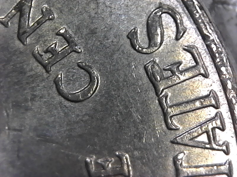 Meow-Just-Finished-A-Box-Of-Nickels