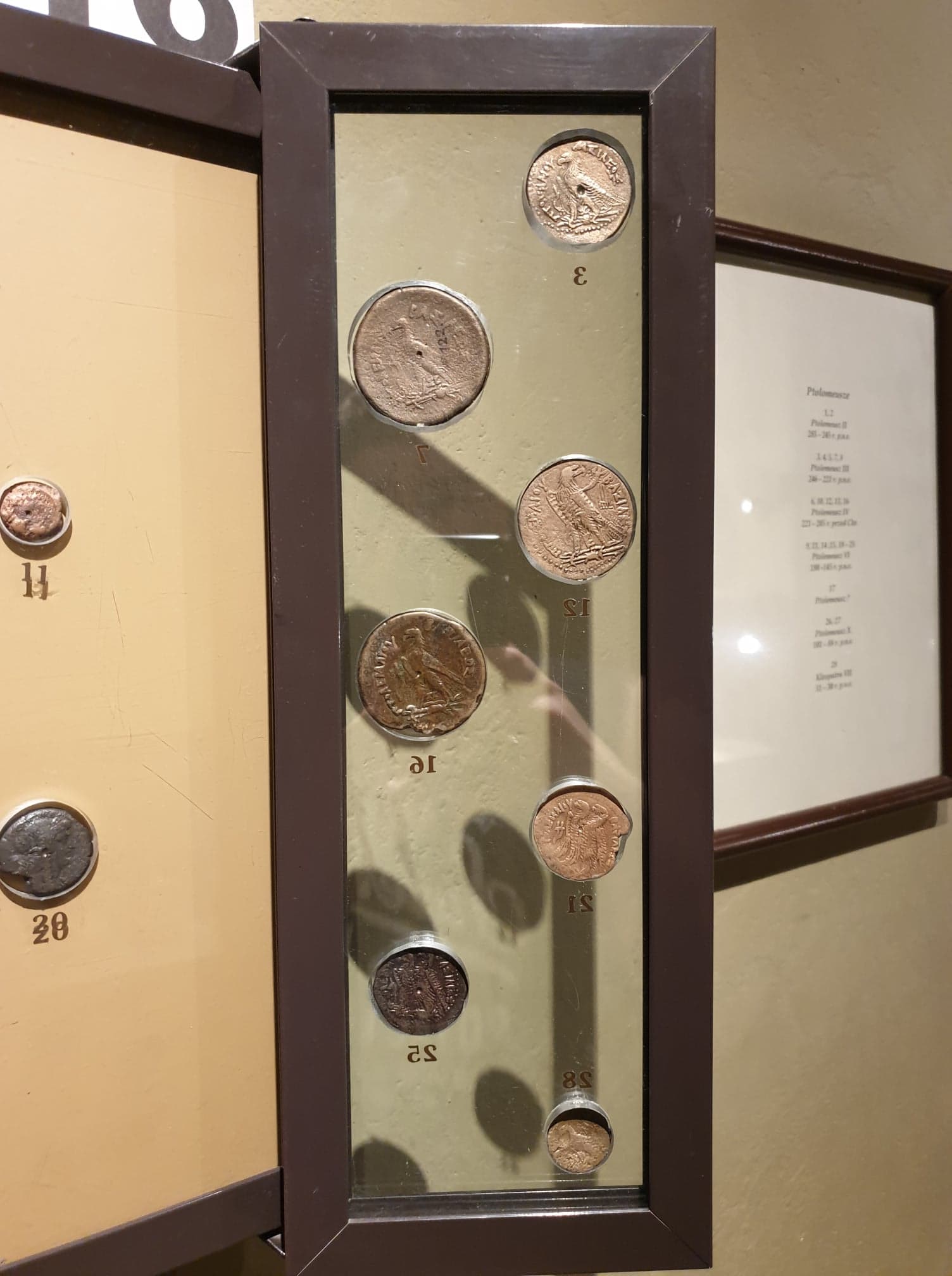 Ancients-In-The-Archaeological-Museum-Of-Krakow