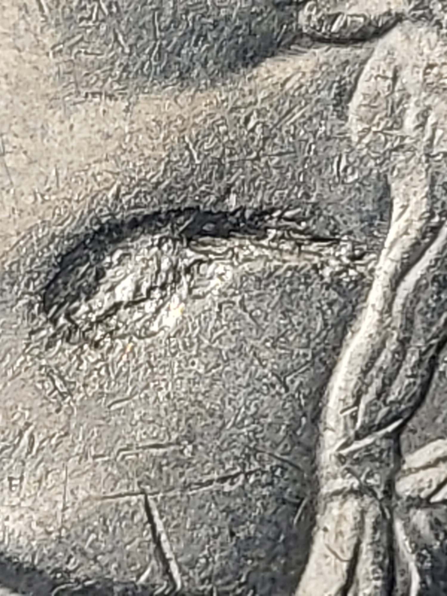 Error-On-Modern-Quarter?-2018-P