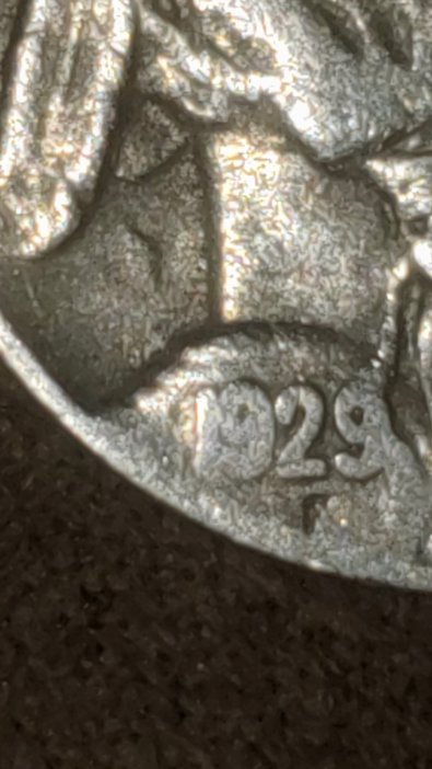 1929-S-Buffalo-Nickel-Random-Find