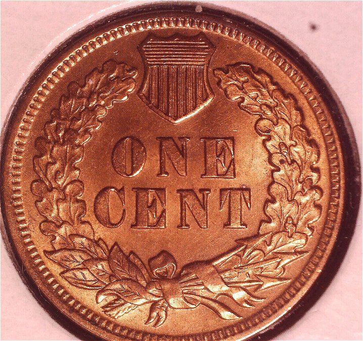 My-Buddy-Told-Me-He-Thinks-I-Have-A-Proof-Indian-Head-Penny