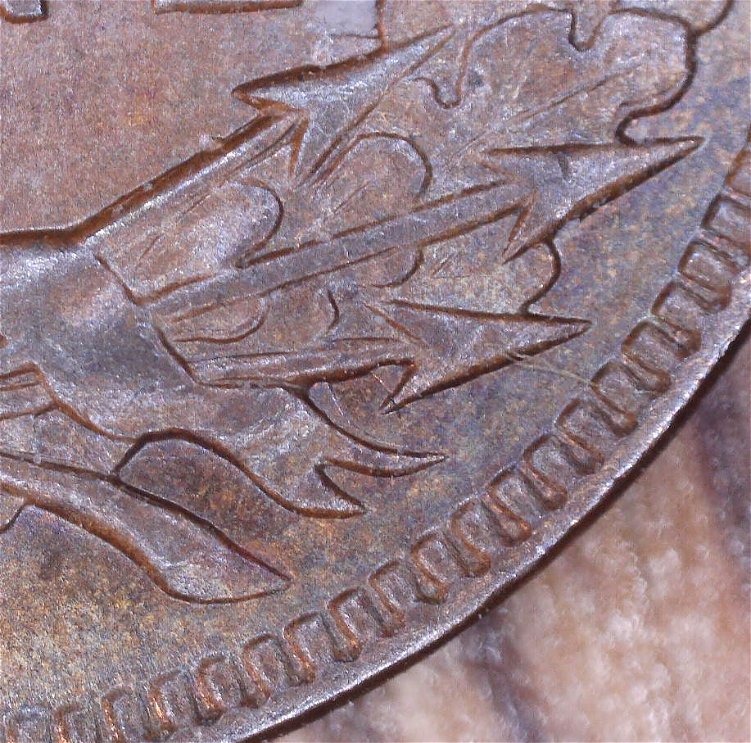 1888-Indian-Head-Penny-REV-DD-Please-Look-And-Give-Me-Your-Opinions