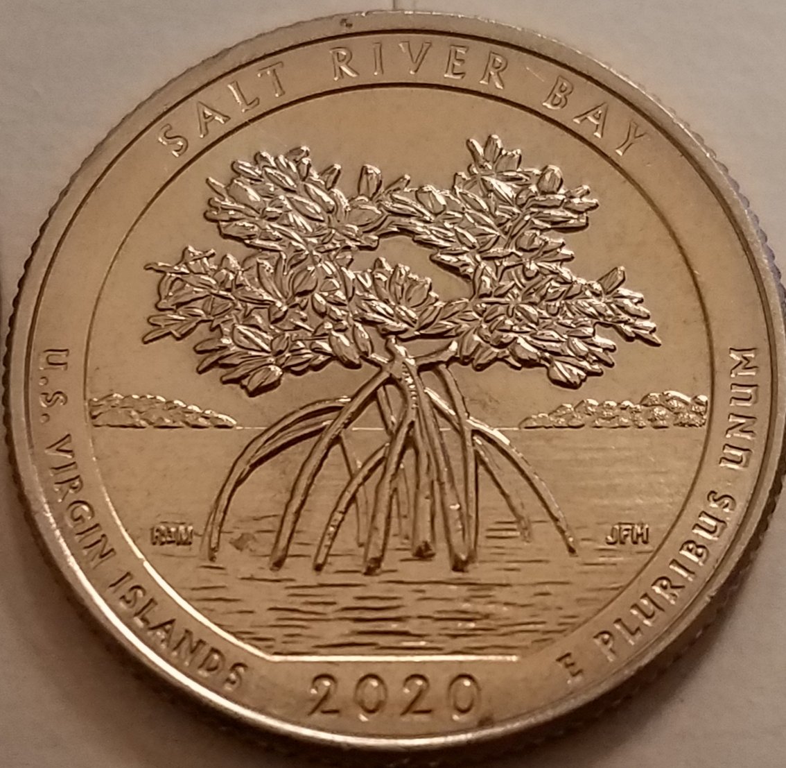2020-W-Salt-River-Bay-Quarter