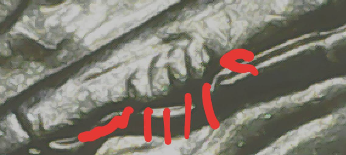 2019-D-War-In-The-Pacific-Die-Crack-Coming-Out-Of-Marines-Rifle.