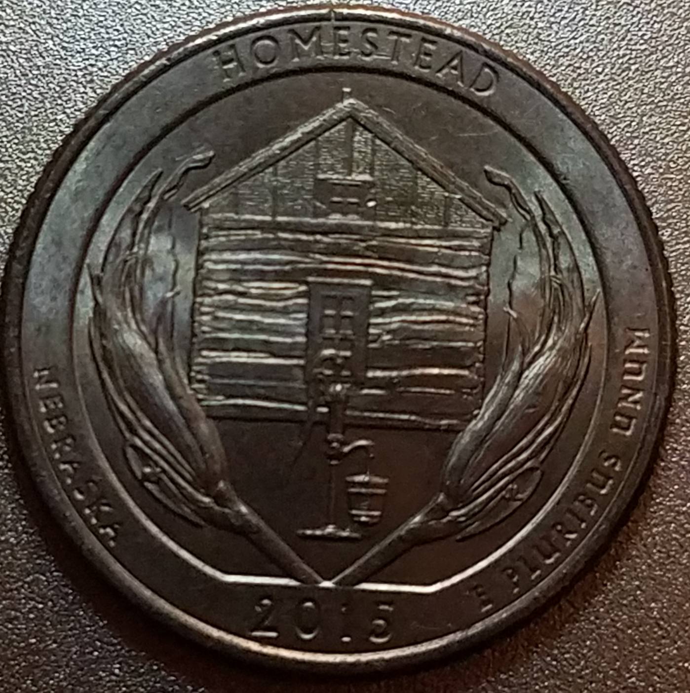 2015-Homestead-Quarter-Leaking-Bucket