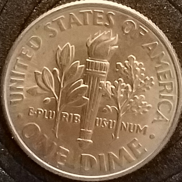 I-Think-2015-P-Roosevelt-Dime-Maybe-Unplated-Planchet