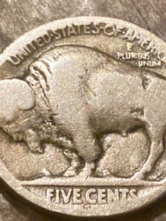 Buffalo-Nickel-Confusion