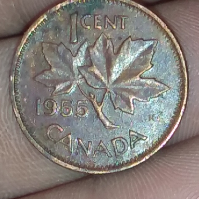1955-Canadian-1-Cent-Coin-For-Grading
