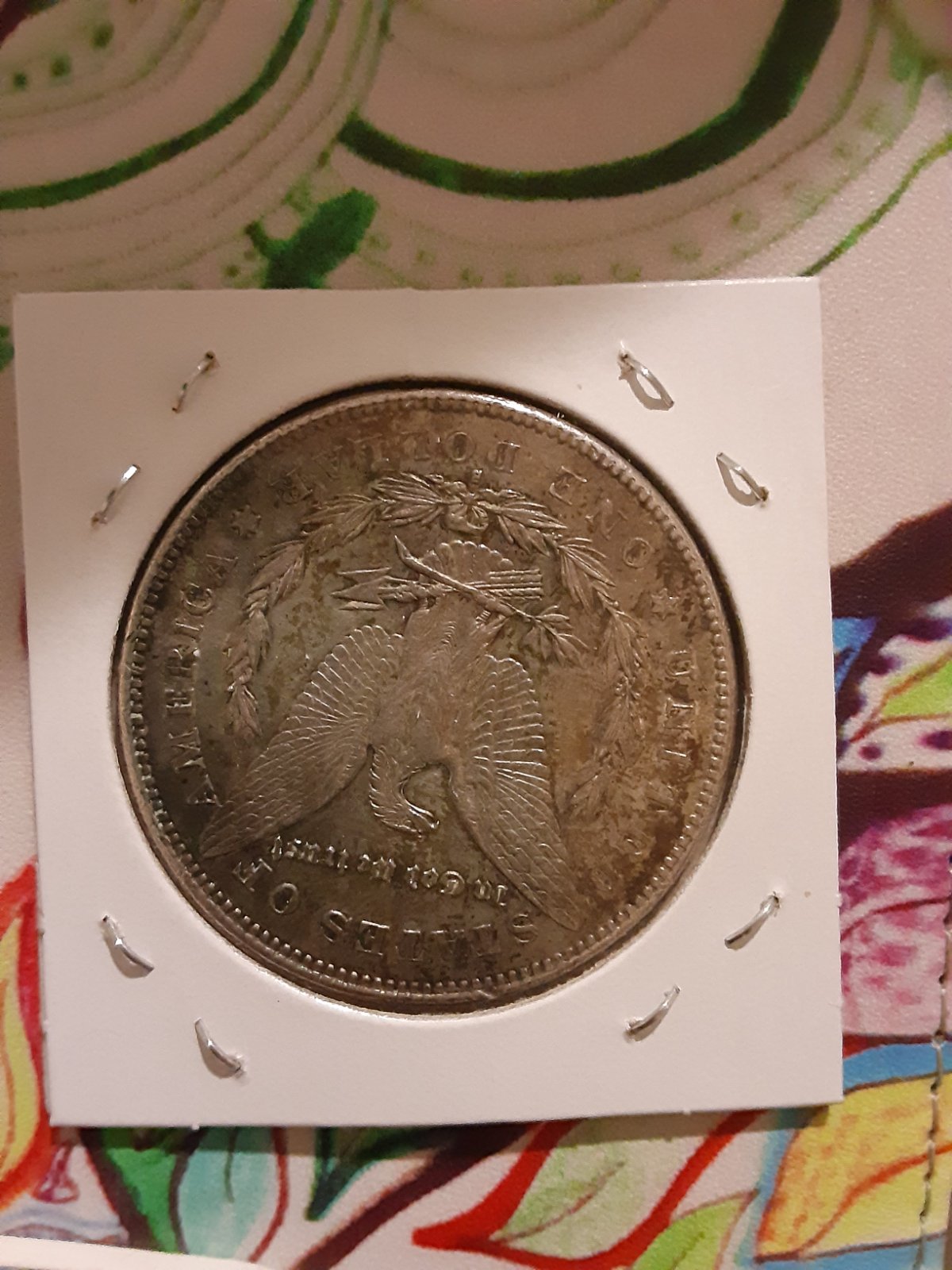 My-First-Morgan!-Can-Anyone-Identify-The-VAM?