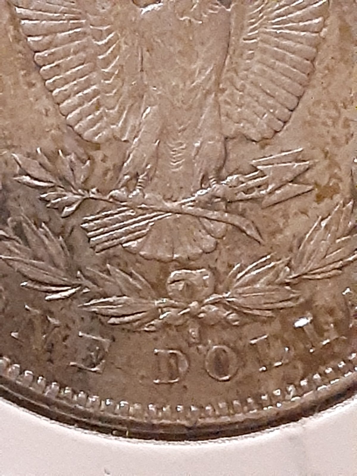 My-First-Morgan!-Can-Anyone-Identify-The-VAM?