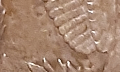 My-First-Morgan!-Can-Anyone-Identify-The-VAM?