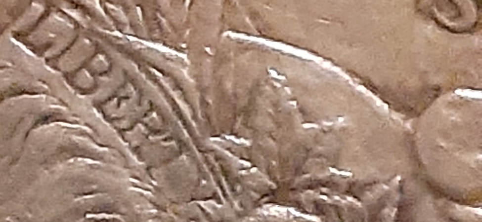 My-First-Morgan!-Can-Anyone-Identify-The-VAM?