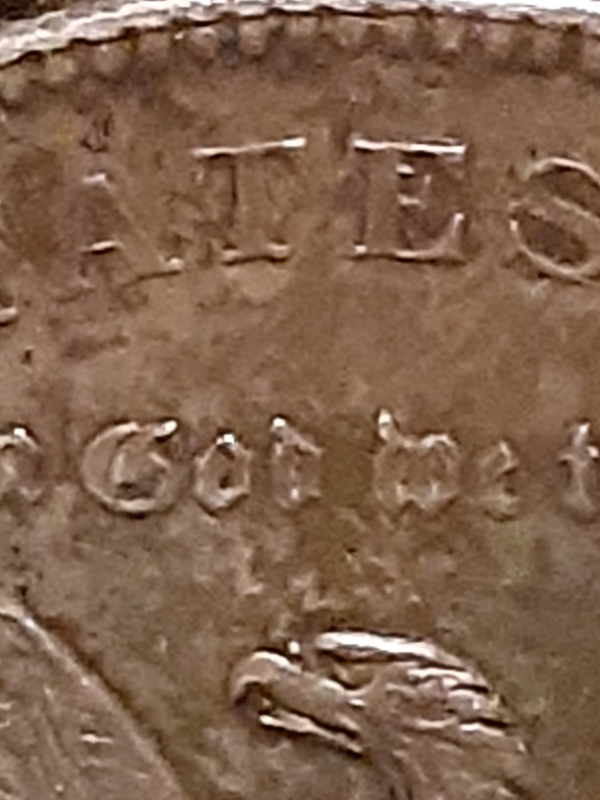 My-First-Morgan!-Can-Anyone-Identify-The-VAM?