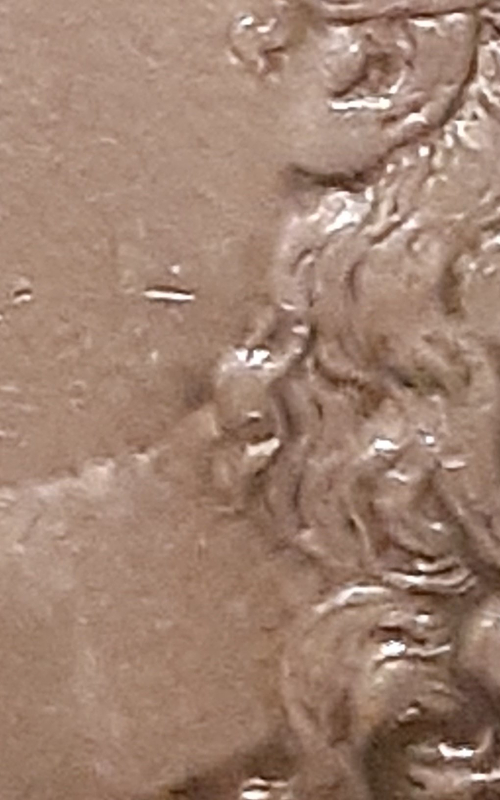 My-First-Morgan!-Can-Anyone-Identify-The-VAM?