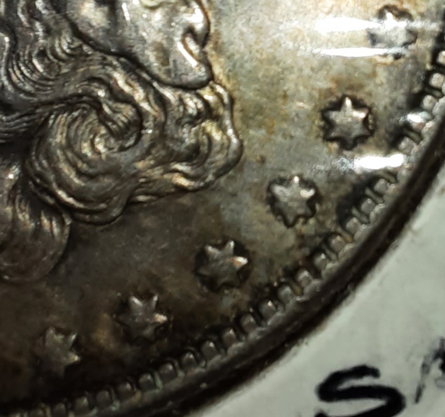 My-First-Morgan!-Can-Anyone-Identify-The-VAM?