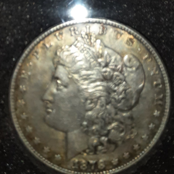 My-First-Morgan!-Can-Anyone-Identify-The-VAM?