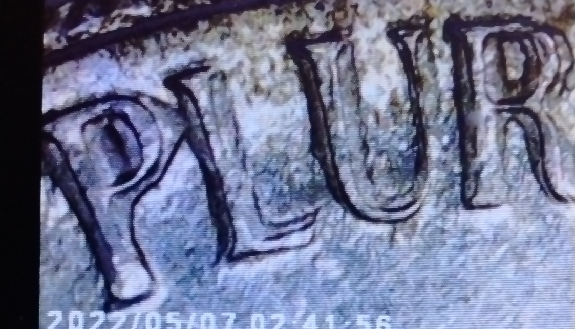 1984-D-Doubled-Die-Reverse