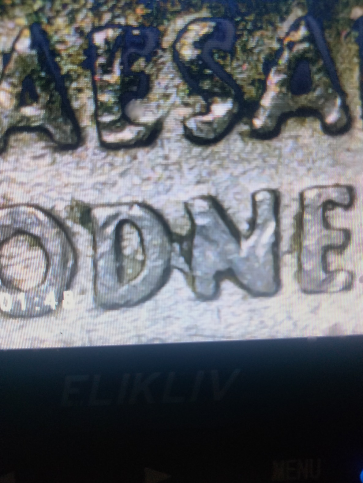 Anyone-Know-About-This-Other-Error-On-1999-P-Delaware-Spitting-Horse?
