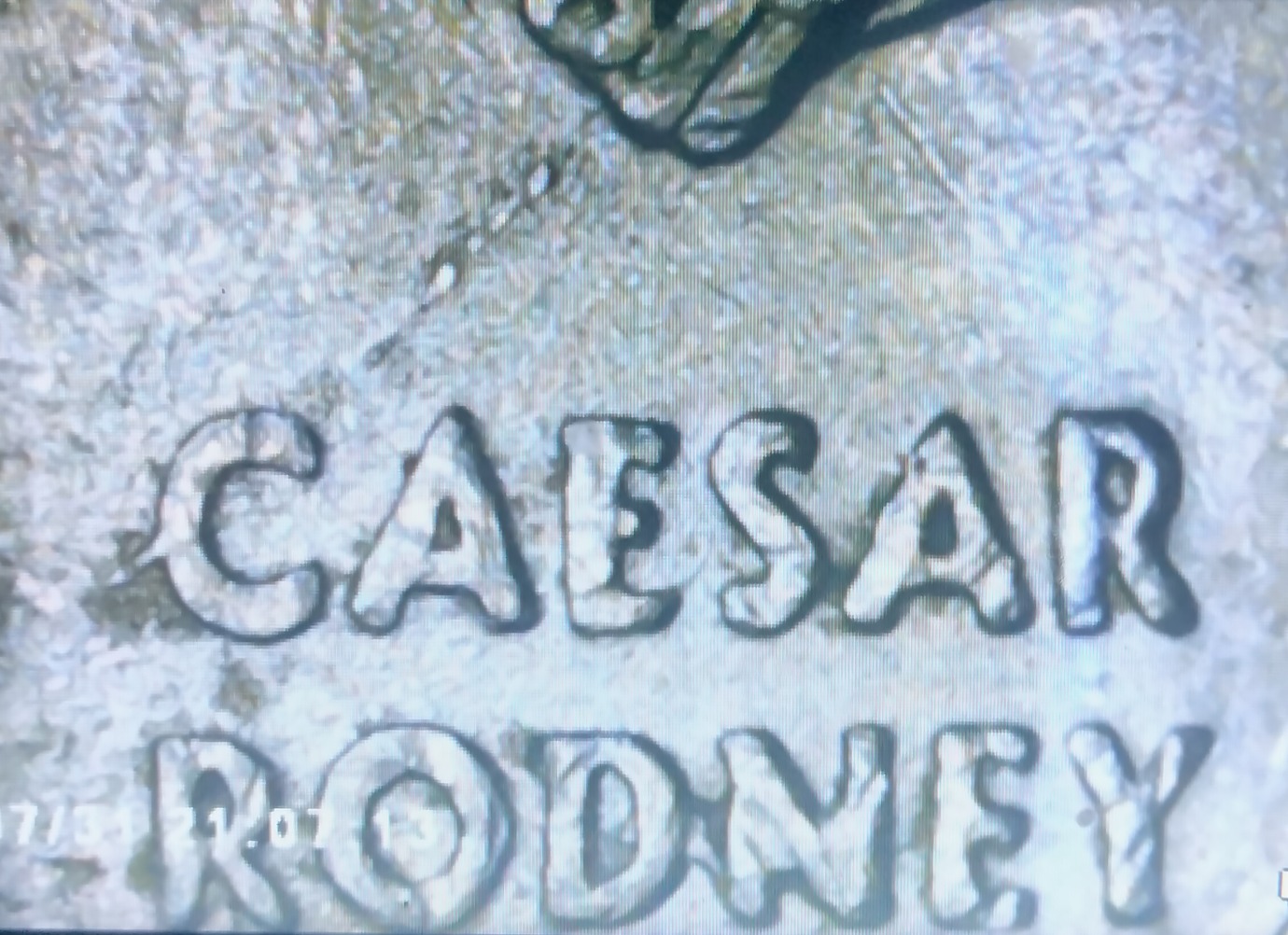 Anyone-Know-About-This-Other-Error-On-1999-P-Delaware-Spitting-Horse?