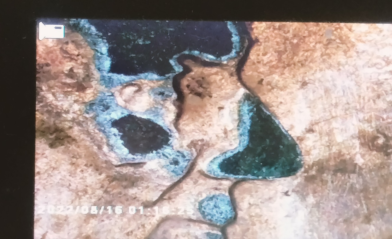 Anyone-Know-What-This-Is?-2019-And-2005-D-Cents