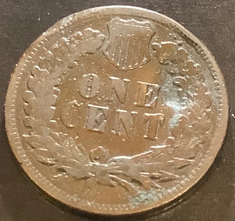 1893-IHC-Blemish---Thoughts?