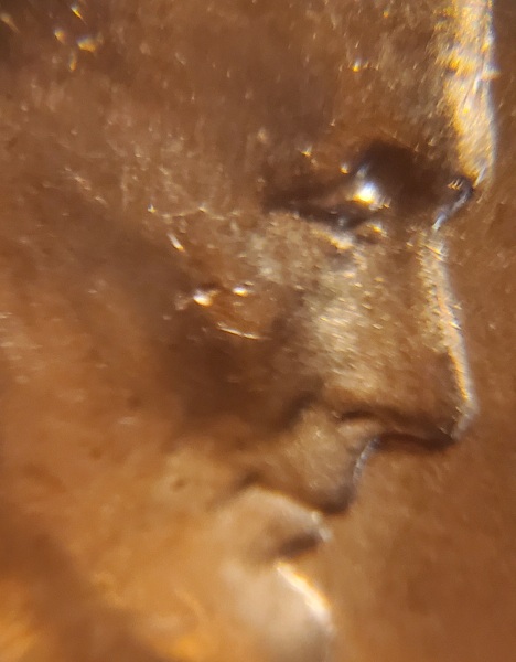 1955-D-LWC-With-Extra-Eyelid